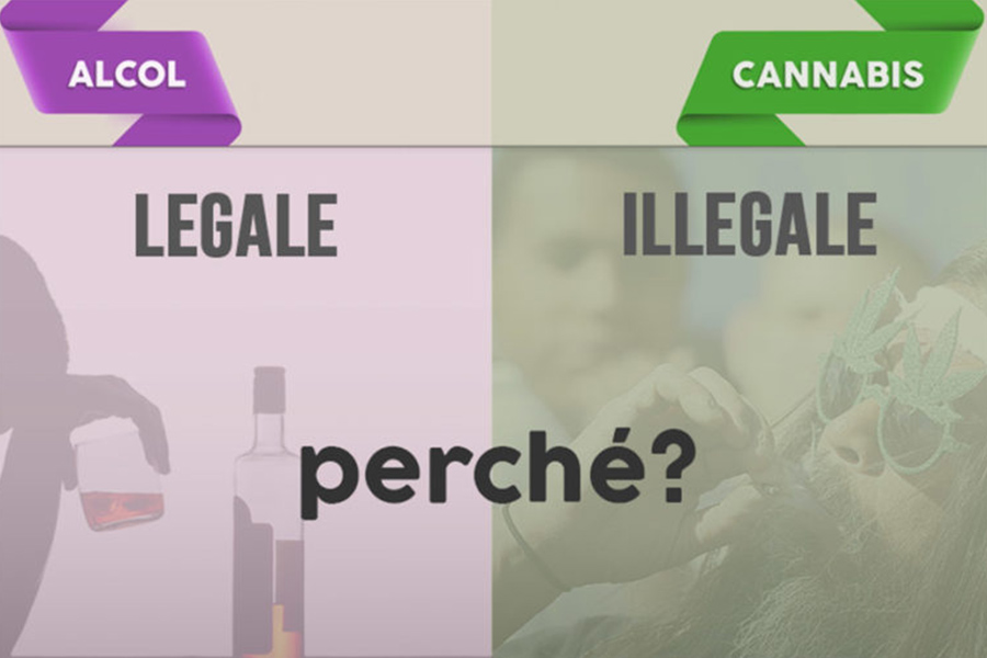 Confronto tra Cannabis e Alcol