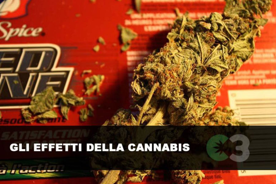 Tutti gli effetti della Cannabis