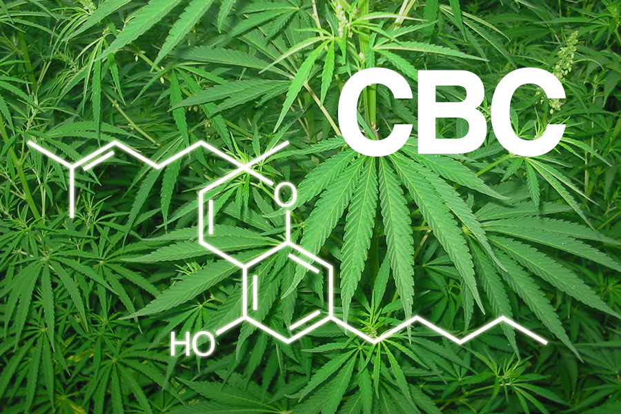 Quali sono i cannabicromeni e perché il CBC è importante