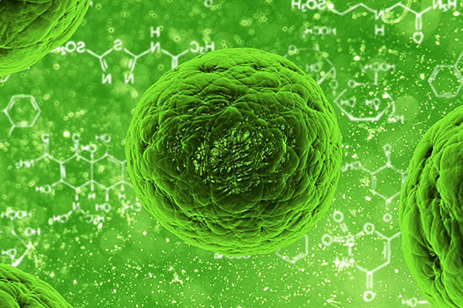 Cannabinoidi e cannabigerolo, cosa sono e a cosa servono