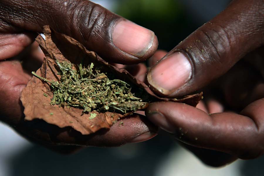 Che differenza c’è tra blunt e joint?