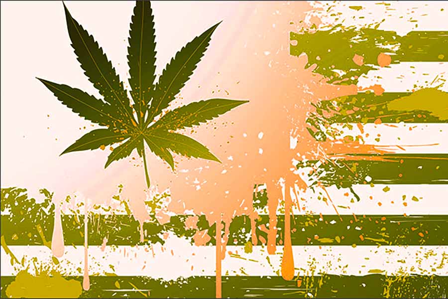 I posti ed i paesi che hanno legalizzato l’uso della cannabis