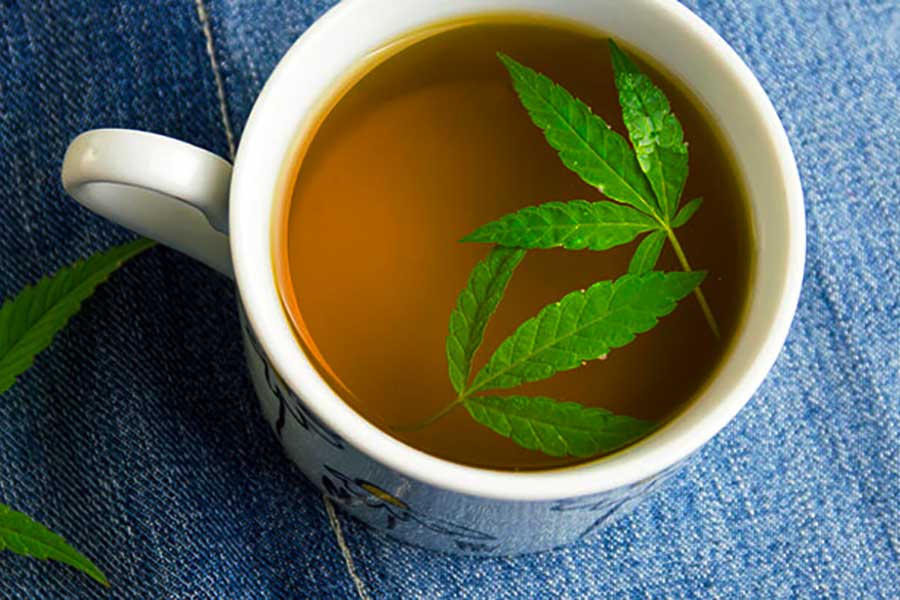 Tutti i benefici del tè alla cannabis