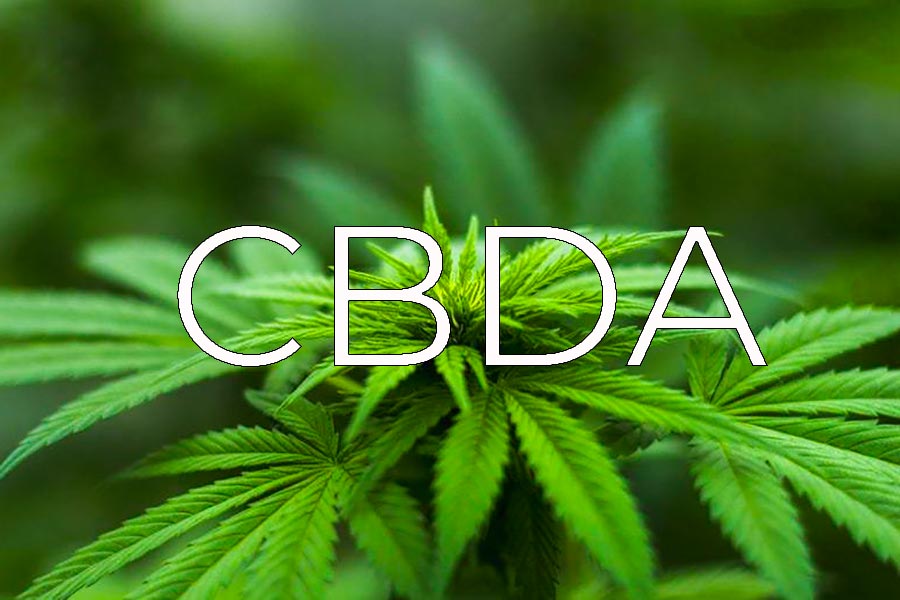 Acido cannabidiolico, cos’è